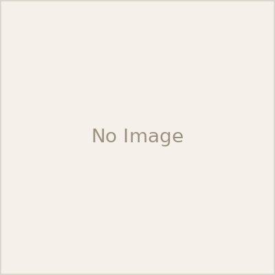 The Pirate's Booty (English, D. M. Darroch | Jennifer L. Hotes)