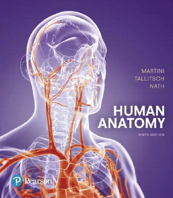 Human Anatomy (English, Frederic H. Martini | Robert Tallitsch | Judi Nath)