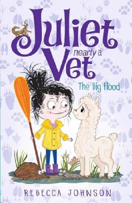 The Big Flood (English, Rebecca Johnson | Kyla May)