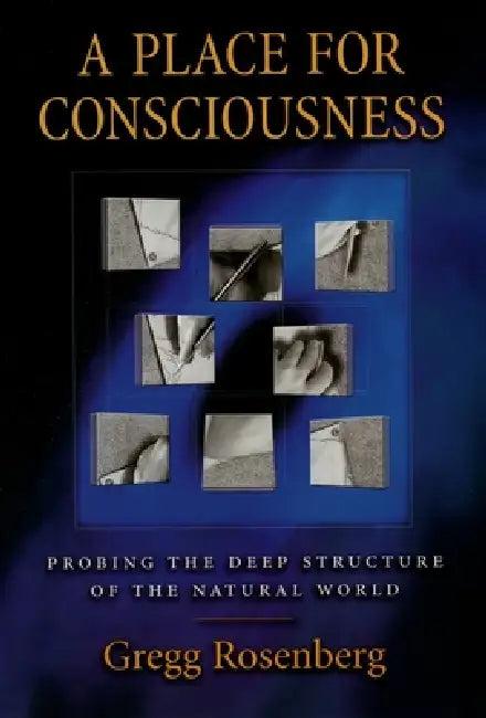 A Place for Consciousness (English, Gregg Rosenberg | David J. Chalmers)