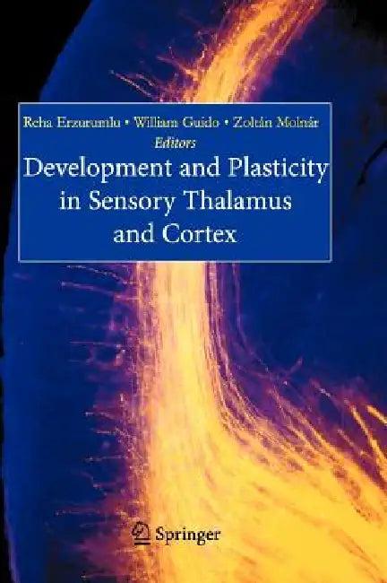 Development and Plasticity in Sensory Thalamus and Cortex (English, Reha Erzurumlu | William Guido | Zoltan Molnar)
