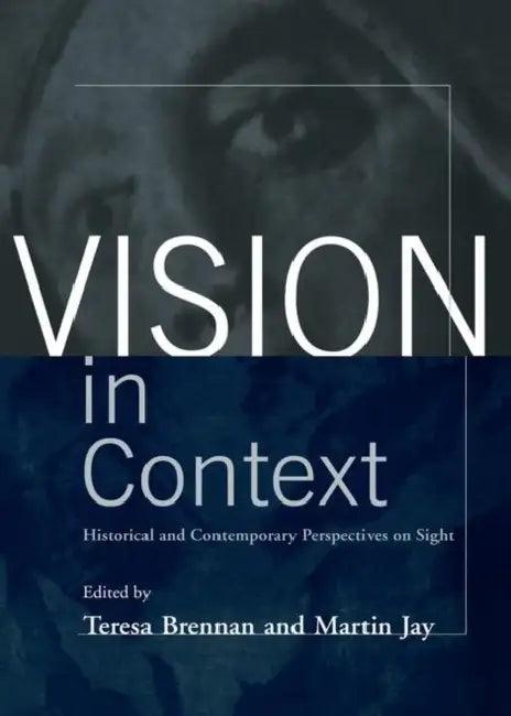 Vision In Context (English, Teresa Brennan)