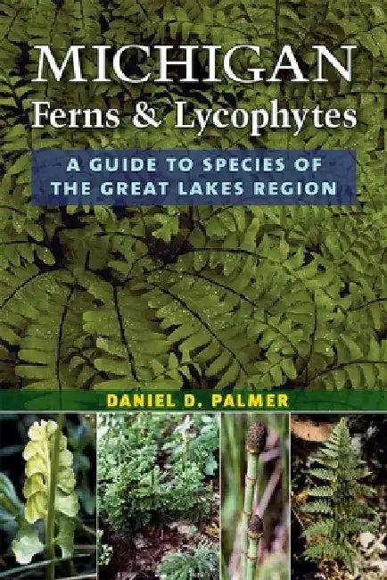 Michigan Ferns and Lycophytes (English, Daniel D. Palmer)