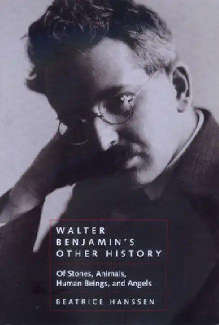 Walter Benjamin's Other History (English, Beatrice Hanssen)