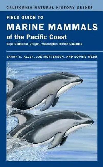 Field Guide to Marine Mammals of the Pacific Coast (English, Sarah G. Allen | Joe Mortenson | Sophie Webb)