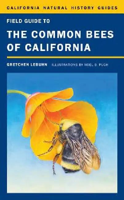 Field Guide to the Common Bees of California (English, Gretchen Lebuhn | Noel Badges Pugh)