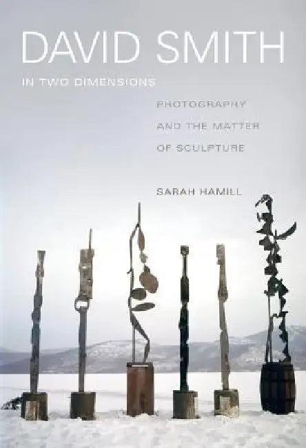 David Smith in Two Dimensions (English, Sarah Hamill)