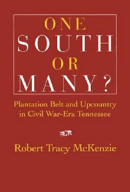 One South or Many? (English, Robert Tracy McKenzie)