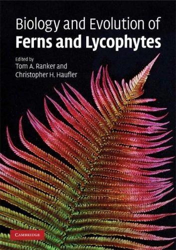 Biology and Evolution of Ferns and Lycophytes (English, Christopher Haufler | Thomas Ranker)
