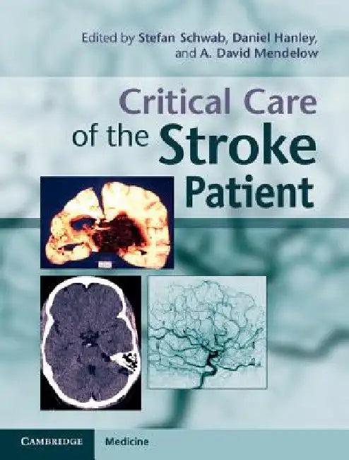 Critical Care of the Stroke Patient (English, Stefan Schwab | Daniel Hanley | A. David Mendelow)