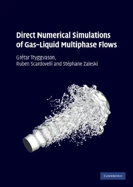 Direct Numerical Simulations of Gas-Liquid Multiphase Flows (English, Grétar Tryggvason | Ruben Scardovelli | Stéphane Zaleski)