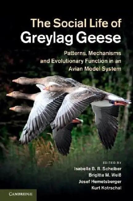 The Social Life of Greylag Geese (English, Isabella B. R. Scheiber | Brigitte M. Weiß | Josef Hemetsberger)