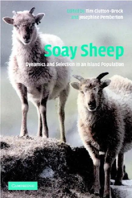Soay Sheep (English, T. H. Clutton-Brock)
