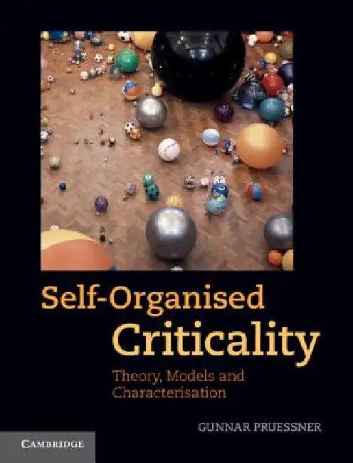 Self-Organised Criticality (English, Gunnar Pruessner)
