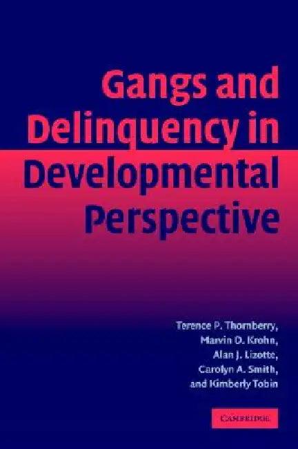 Gang Delinquency Develop Perspectve (English, Terence P. Thornberry | Marvin D. Krohn | Alan J. Lizotte)