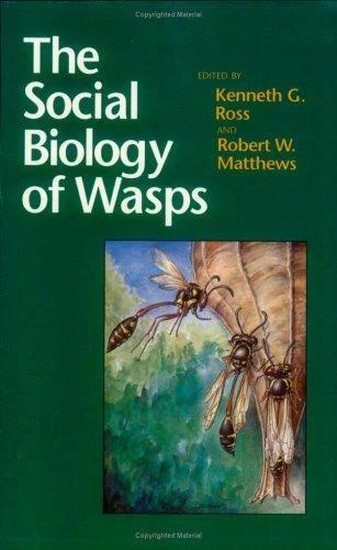 The Social Biology of Wasps (English, Kenneth G. Ross | Robert W. Matthews)