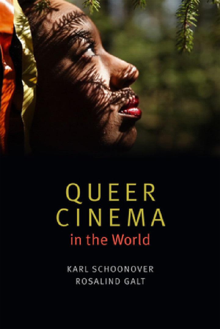 Queer Cinema in the World (English, Karl Schoonover)
