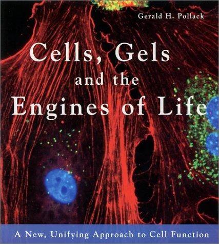 Cells, Gels and the Engines of Life (English, Gerald H. Pollack)
