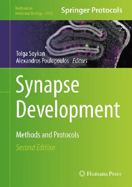Synapse Development (English, Tolga Soykan | Alexandros Poulopoulos)
