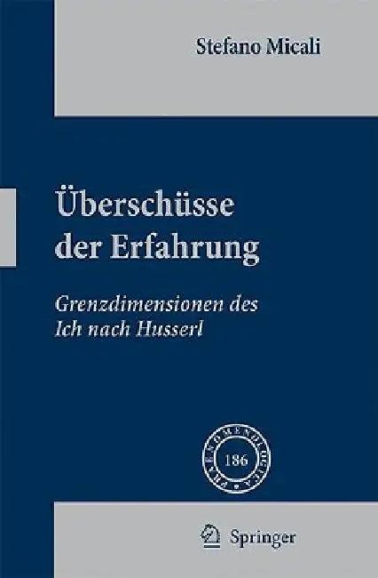 Überschüsse Der Erfahrung (English, Stefano Micali)