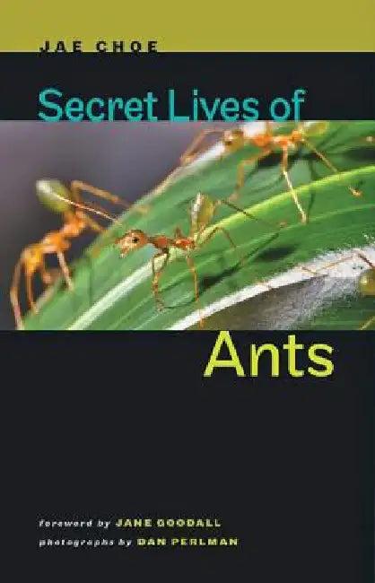 Secret Lives of Ants (English, Jae Choe)