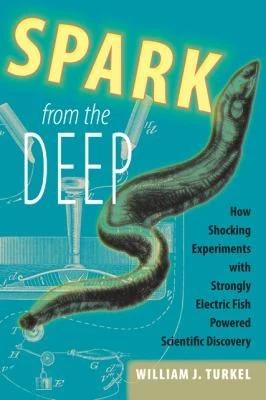 Spark from the Deep (English, William J. Turkel)