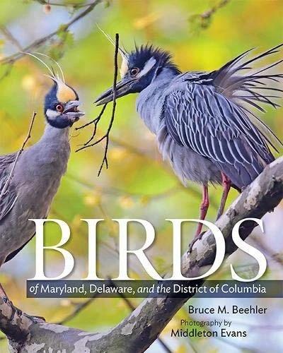 Birds of Maryland, Delaware, and the District of Columbia (English, Bruce M. Beehler | Middleton Evans | Chandler S. Robbins)