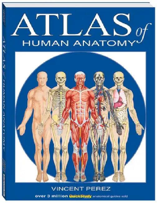 Atlas of Human Anatomy (English, Vincent Perez)