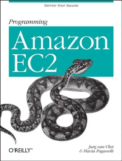 Programming Amazon Ec2 (English, Jurg Van Vliet | Flavia Paganelli)