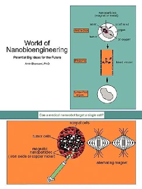 World of Nanobioengineering (English, Amin Elsersawi Ph. D.)