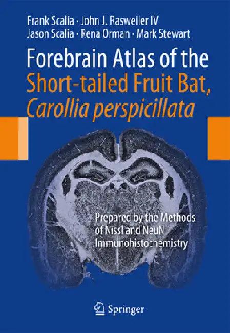 Forebrain Atlas of the Short-Tailed Fruit Bat, Carollia Perspicillata (English, Frank Scalia | John J. Rasweiler IV | Jason Scalia)