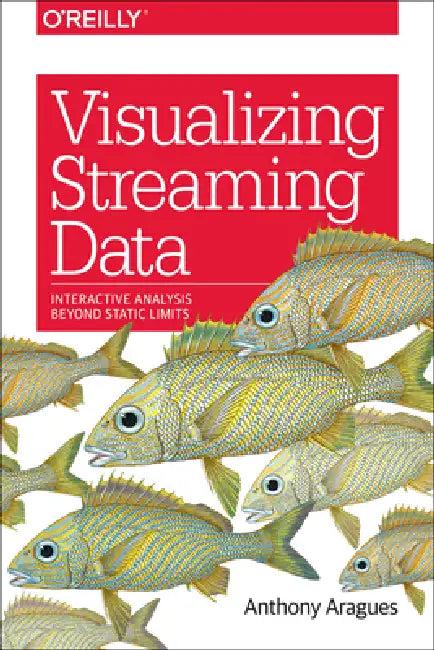 Visualizing Streaming Data (English, Anthony Aragues)