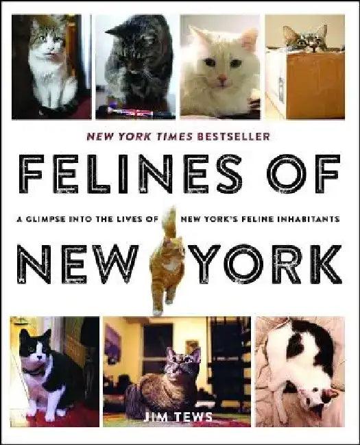 Felines of New York (English, Jim Tews)