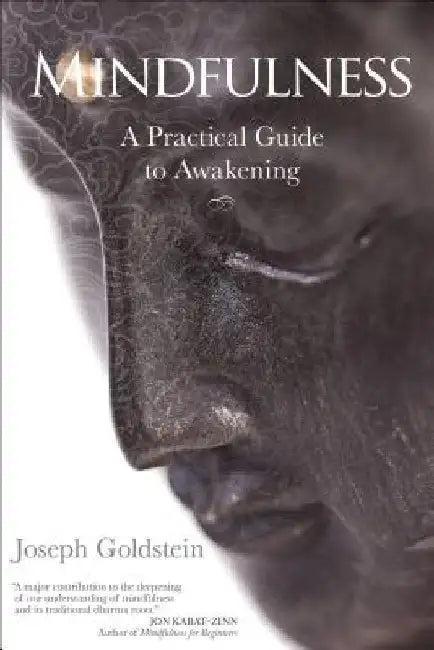 Mindfulness (English, Joseph Goldstein)