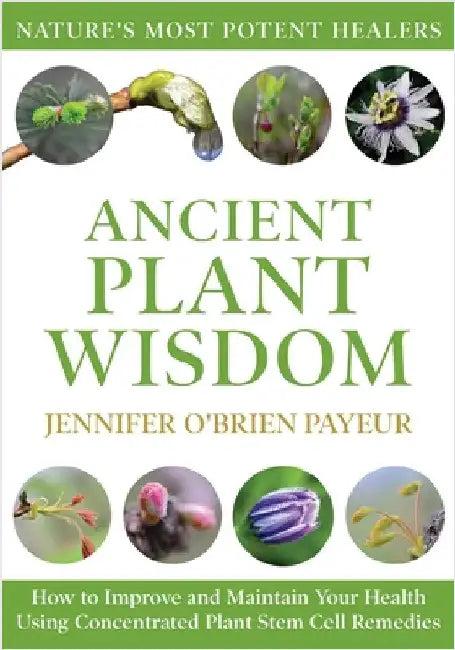 Ancient Plant Wisdom (English, Jennifer O'Brien Payeur)