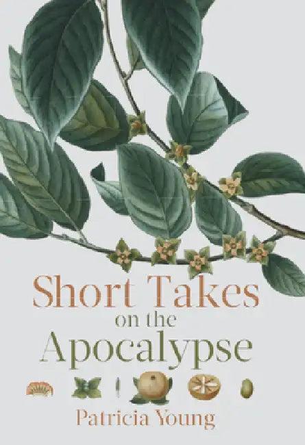 Short Takes on the Apocalypse (English, Patricia Young)