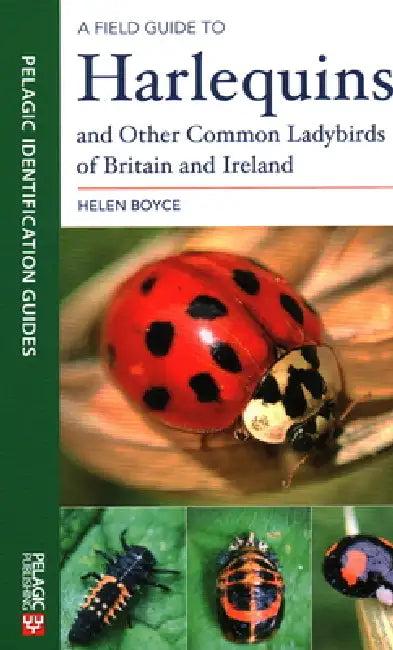 A Field Guide to Harlequins and Other Common Ladybirds of Britain and Ireland (English, Helen Boyce)