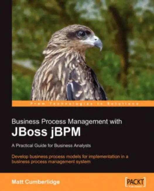 Business Process Management with Jboss Jbpm (English, Matt Cumberlidge)