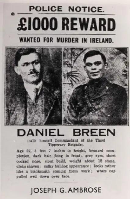 Dan Breen And The IRA (English, Joe Ambrose)