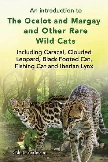 An introduction to The Ocelot and Margay and Other Rare Wild Cats Including Caracal, Clouded Leopard (English, Colette Anderson)