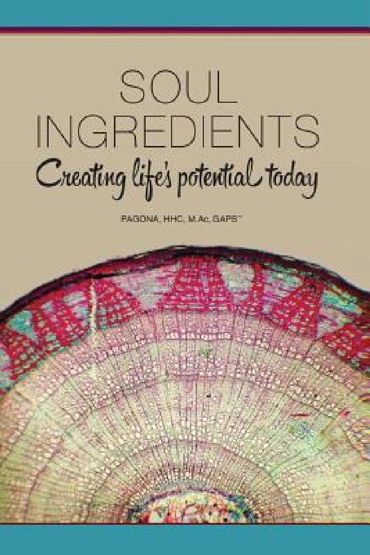 Soul Ingredients (English, Pagona Papadopoulos | Pagona)