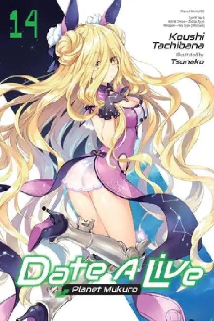 Date a Live, Vol. 14 (Light Novel) (English, Koushi Tachibana)