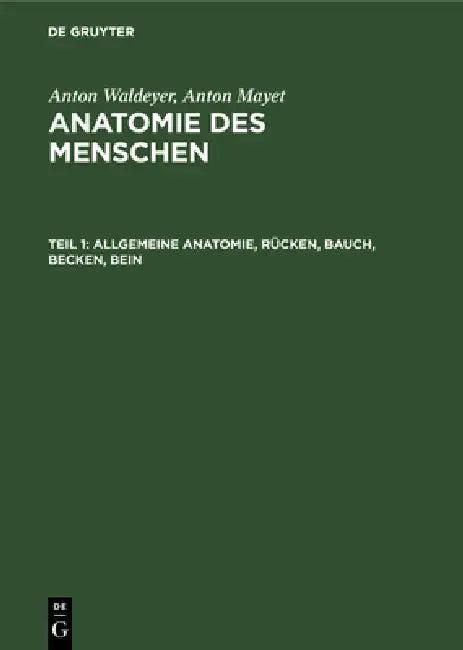 Allgemeine Anatomie, Rücken, Bauch, Becken, Bein (English, Anton Waldeyer | Anton Mayet)