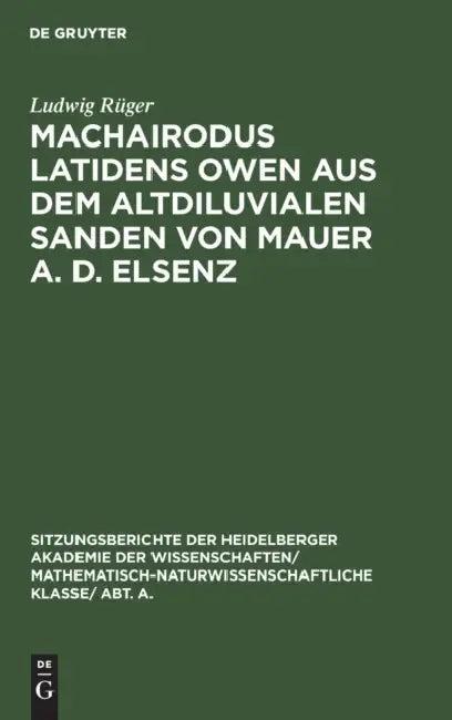 Machairodus Latidens Owen Aus Dem Altdiluvialen Sanden Von Mauer A. D. Elsenz (English, Ludwig Rüger)