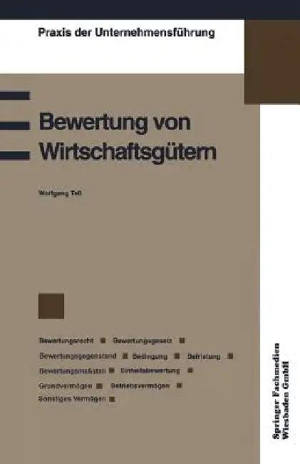 Bewertung Von Wirtschaftsgütern (English, Wolfgang Teß)