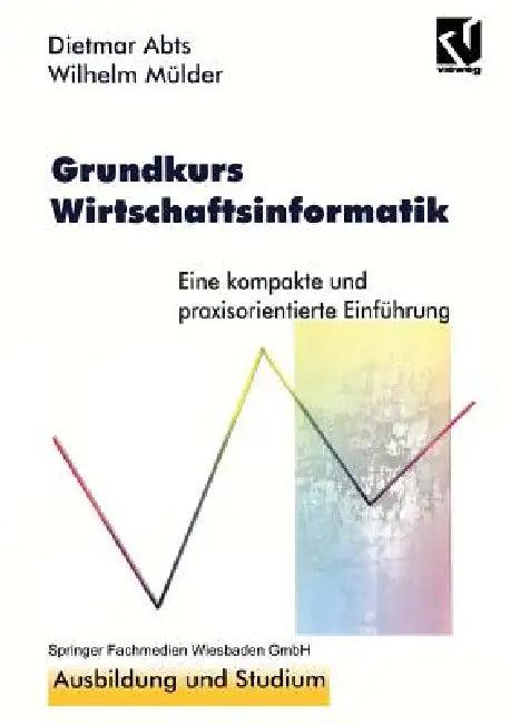 Grundkurs Wirtschaftsinformatik (English, Dietmar Abts)