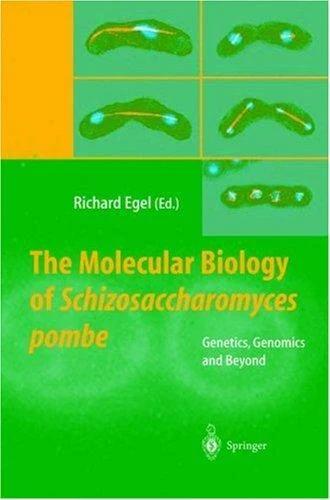 The Molecular Biology of Schizosaccharomyces pombe (English, Richard Egel)