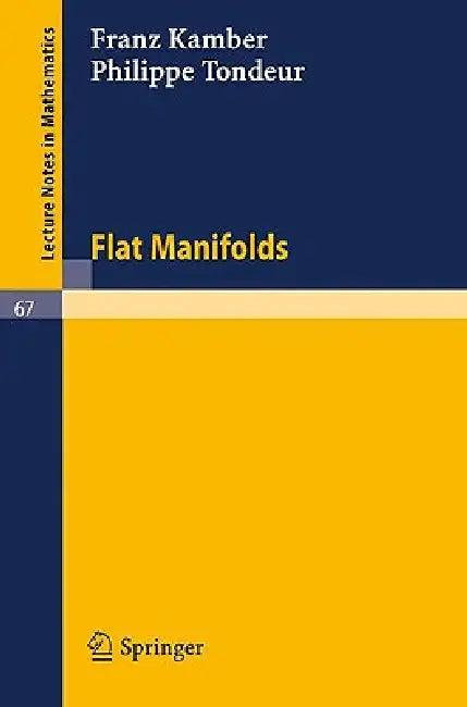 Flat Manifolds (English, Franz Kamber | Philippe Tondeur)