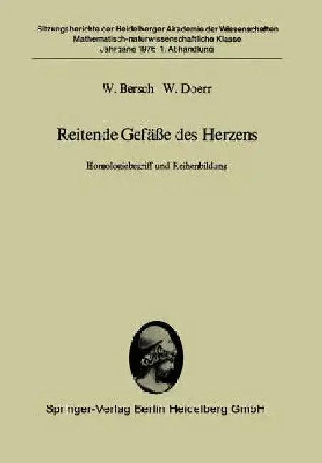 Reitende Gefäße Des Herzens (English, W. Bersch | W. Doerr)
