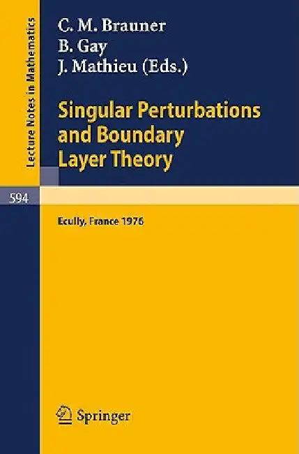 Singular Perturbations and Boundary Layer Theory (English, C. M. Brauner | B. Gay | J. Mathieu)